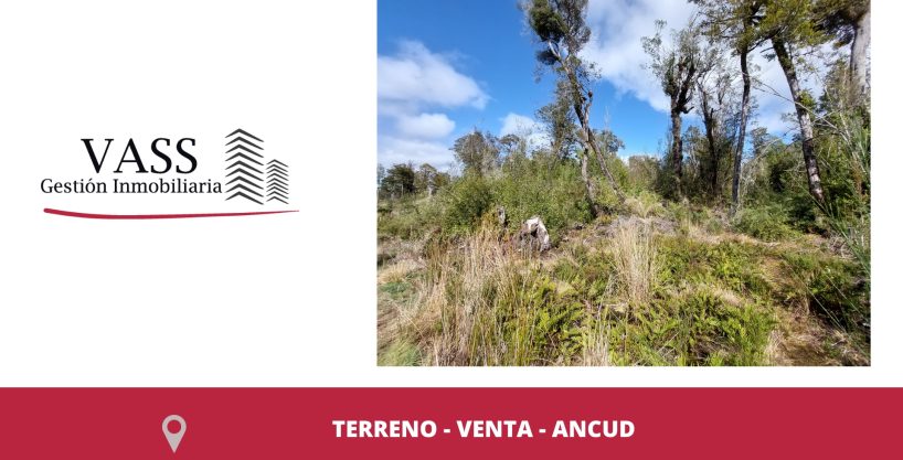 Vass Vende Parcelas De Agrado, Mucha Naturaleza, Ancud