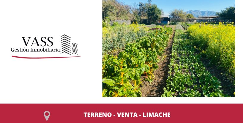 VASS Gestión Inmobiliaria vende Parcela Agrícola, Orgánica Y De Agrado, Limache