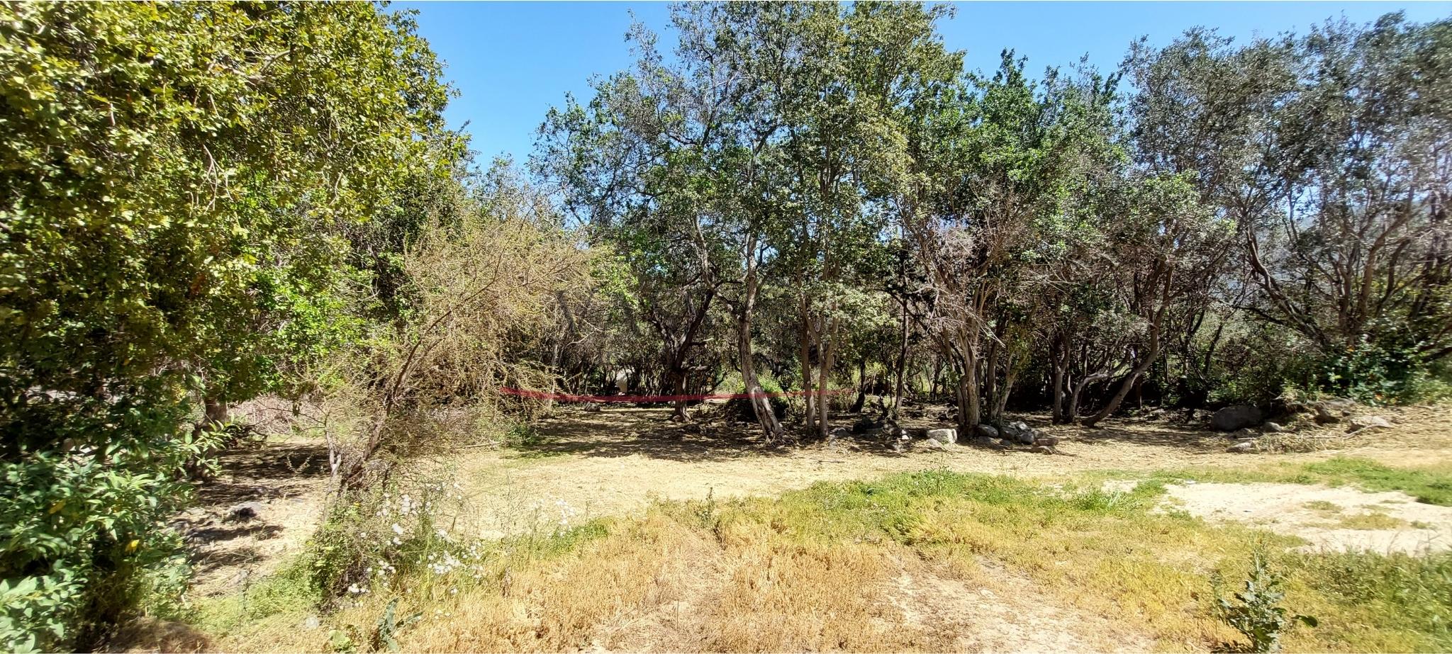 Vass Vende Espectacular Terreno En Condominio, Olmué