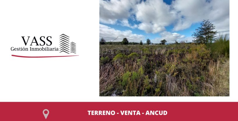 Vass Vende Parcelas De Agrado, Mucha Naturaleza, Ancud