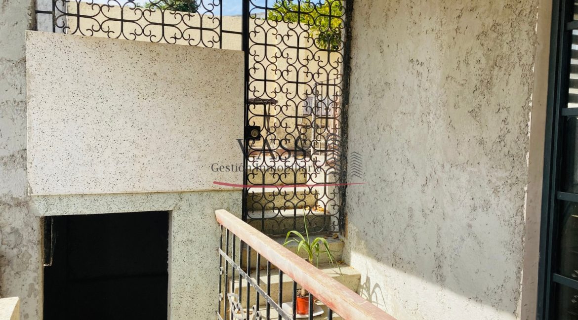 egaña (5)